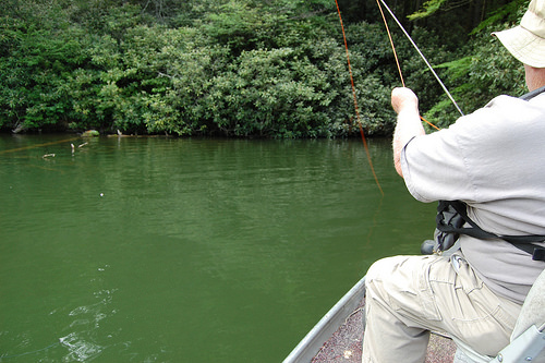 Hombre pescando